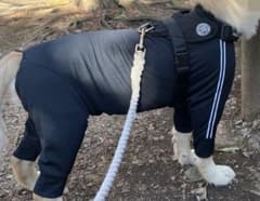 中型犬 大型犬 洋服 ドッグウェアのサムネイル