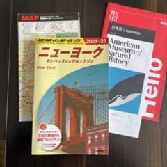 「地球の歩き方 ニューヨーク マンハッタン&ブルックリン 2024～2025」のサムネイル