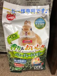 チモシーの穂(袋・シリカゲル込み300g以上)のサムネイル