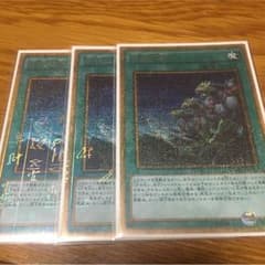 同胞の絆 3枚美品のサムネイル