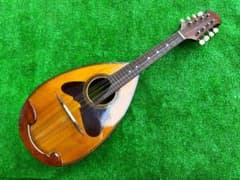 SUZUKI VIOLIN / マンドリン No.228 1968年製 - メルカリ
