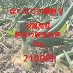 淡路島産　訳あり　新玉ねぎ5kgのサムネイル
