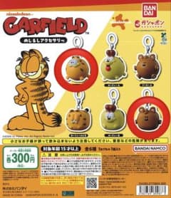 GARFIELD ガーフィールド めじるしアクセサリー 2種セットのサムネイル