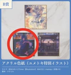 ユメトキ アクリル色紙 そらる ユメユイ くじ B賞 そらる B賞 アクリル色紙（ユメトキ特別イラスト） - メルカリ