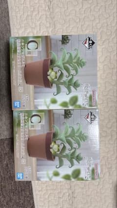 1*）様 み*す様 一番くじ 爬虫類・両生類 C賞 ニホンアマガエルと観葉植物アのサムネイル