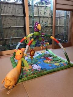 きゆん様専用　Fisher-Price レインファレスト デラックスジムⅡのサムネイル