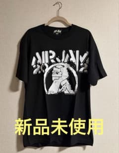 【新品未使用】AIR JAM 2012 Tシャツ Lサイズのサムネイル