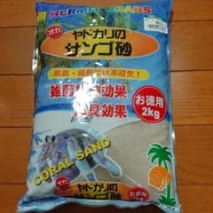 ヤドカリの砂のサムネイル