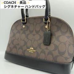 a*k様 コーチ COACH シグネチャー ハンドバッグ F58295 - メルカリ