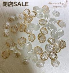⭐︎キーウイ⭐︎様専用ページです。のサムネイル
