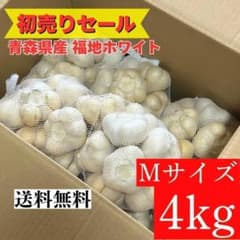 初売りセール】青森県 福地ホワイト にんにく M 4kg 加工 家庭用