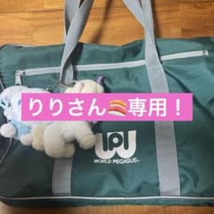 りりさん専用のサムネイル