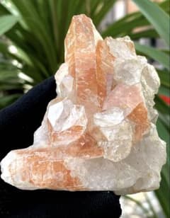 オレンジピンク 水晶クラスター｜虹　265gのサムネイル