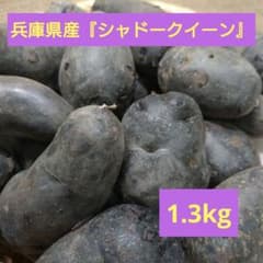 兵庫県産『シャドークイーン』1.3kgのサムネイル