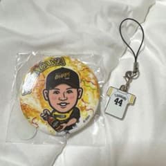 福岡ソフトバンクホークス 笹川吉康 缶バッジ キーホルダー グッズ 若