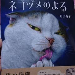 「ねこは るすばん」「なまえのないねこ」「ネコヅメのよる」町田 尚子のサムネイル