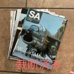 裁断済み　月刊スケールアヴィエーション　2021年７月号のサムネイル