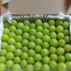 ③　訳ありシャインマスカット 粒　800gのサムネイル