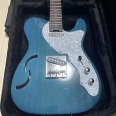 SCHECTER L-OL-MT-TH-AL テレキャスター　セミホロウ SCHECTER L-OL-MT-TH-AL/R【現物画像】【S/N:SOL-2511172】【重量:2.62