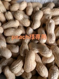 『peach様専用』千葉県産　農薬不使用　おおまさり　5㌔のサムネイル