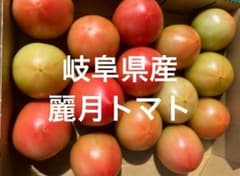 岐阜県産　麗月トマト　小玉のサムネイル
