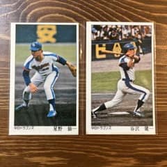 中日2枚セット(星野&谷沢)/ピノ プロ野球カード - メルカリ