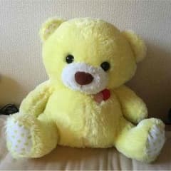 くまさん ぬいぐるみのサムネイル