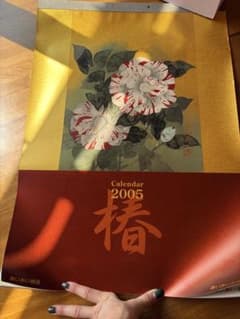 2005年 椿 カレンダー あいおい損保