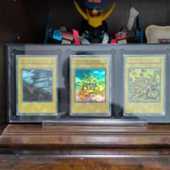 遊戯王OCG デュエルモンスターズ デュエリストキングダムセットのサムネイル