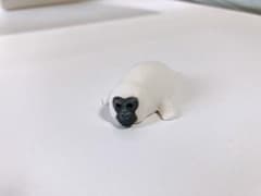 顔ゴリラ　アザラシのサムネイル