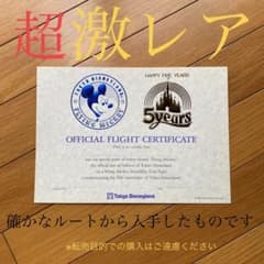 ⭐︎激レア☆ディズニーランド5周年フライングミッキー証明書のサムネイル