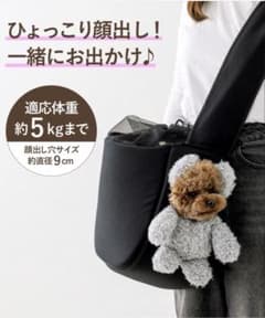 3COINS ベア顔出しキャリーバッグ 新品タグ付き 3COINS☆顔出しベアバッグ☆グレー☆犬☆ドッグキャリーバッグ☆スリー