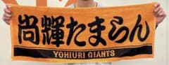 読売ジャイアンツ　吉川尚輝のサムネイル