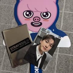 Stray Kids World Tour RUN IT JAPAN セットのサムネイル