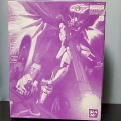 MG 1/100　ディスティニーインパルスガンダム(リジュネス)のサムネイル