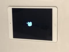 E*A様 美品 6 2026 0602 iPad mini ホワイト Appleのサムネイル