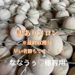 長崎県島原産 温室高級メロン(２玉)のサムネイル