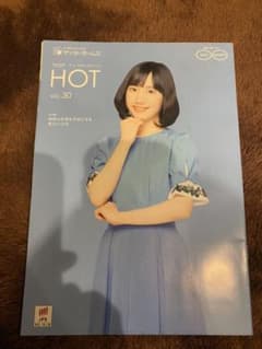 芦田愛菜　サンヨーホームズ　オーナーズ冊子　非売品のサムネイル