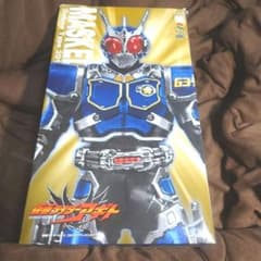 RAH☆ジャンク品リアルアクションヒーローズG3-X No.623☆アギト送料込
