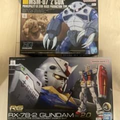 RG RX-78-2 건담 Ver.2.0 HG MSM-07 즈곡크
