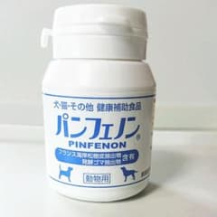 パンフェノンのサムネイル