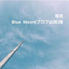 プロフ必読願いますさま専用、ご依頼品の制作ページ 専用ページ Blue Moon(プロフ必読)様 - メルカリ