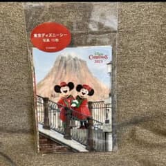 ディズニークリスマス2023 スペフォ スペシャルフォト ディズニーシー