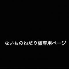ないものねだり様専用ページのサムネイル