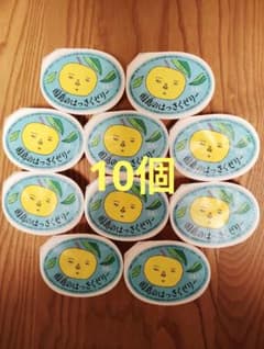 因島のはっさくゼリー　10個　送料無料　広島名産果物ゼリーのサムネイル