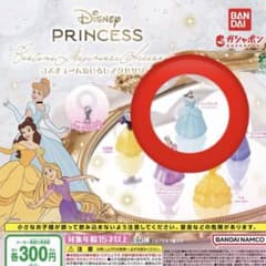 ディズニー　プリンセス　シンデレラ　白雪姫　グッズ　セット　まとめ売り ディズニー プリンセス コスチューム めじるしアクセサリー シンデレラ