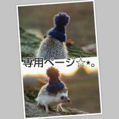 ■ ピカチュウさん様  専用ページ ■のサムネイル