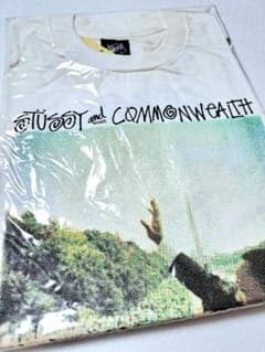 【M・新品】Stüssy × Commonwealth キング牧師 T M・新品】Stüssy × Commonwealth キング牧師 T - メルカリ