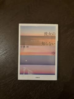 彼女の知らない空 早瀬耕 小学館文庫のサムネイル