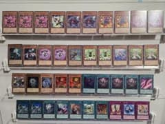 遊戯王OCG 本格構築 ローズドラゴンデッキのサムネイル